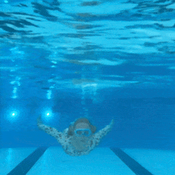 Fallback Image